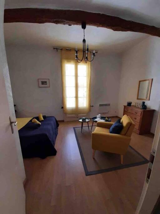 Historic French Townhouse Villa Saint-Thibéry Exteriör bild